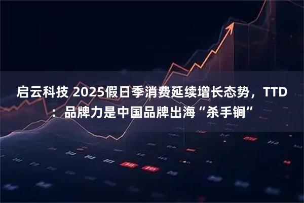 启云科技 2025假日季消费延续增长态势，TTD：品牌力是中国品牌出海“杀手锏”