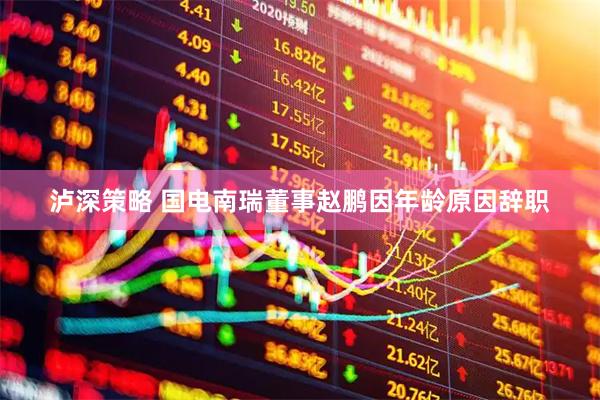 泸深策略 国电南瑞董事赵鹏因年龄原因辞职