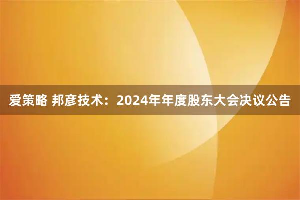 爱策略 邦彦技术：2024年年度股东大会决议公告