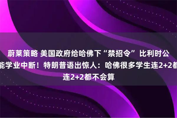 蔚莱策略 美国政府给哈佛下“禁招令” 比利时公主也可能学业中断！特朗普语出惊人：哈佛很多学生连2+2都不会算