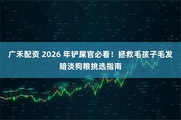 广禾配资 2026 年铲屎官必看！拯救毛孩子毛发暗淡狗粮挑选指南