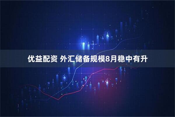 优益配资 外汇储备规模8月稳中有升